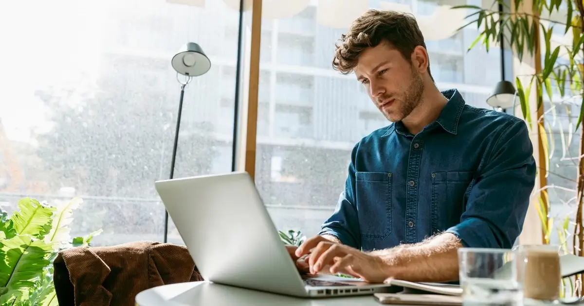 how do WordPress plugins get job information from Indeed
